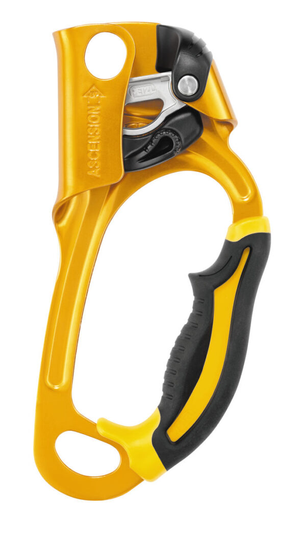 Buy Petzl - B17ALA - ASCENSION rope clamp/grab left in UAE